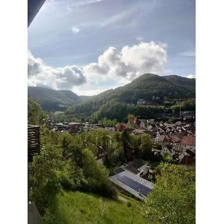 Vakantiehuis Freudenberg